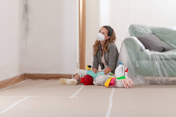 Reliable Mold Remediation contractor in Brighton, IL by Car Mold Remediation